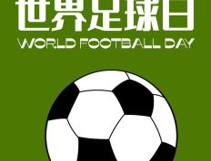 IM体育-英格兰足球协会：我国职业联赛不会用脚踢外交