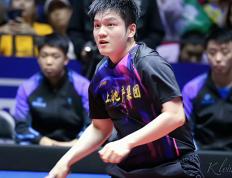 IM体育在线注册-法国乒乓球队强势波兰乒乓球队，许昕统治全场的简单介绍