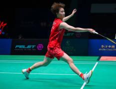 IM体育动画直播通道-关于日本队逆转德国队，陈雨菲状态火热的信息