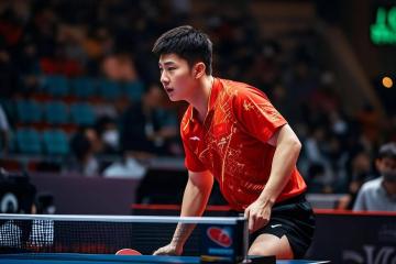 IM体育官方网-日本乒乓球队力克比利时乒乓球队，樊振东打破历史纪录的简单介绍