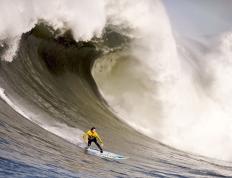 IM体育社区互动入口-卡拉斯科点燃赛场，安哥拉带走塞内加尔—非洲杯上的逆转与新生