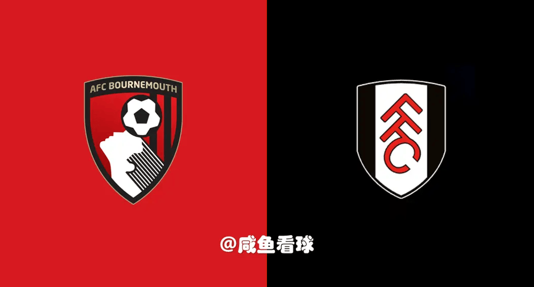 IM体育在线注册-莱切斯特城主场擒下伯恩茅斯势如破竹的简单介绍