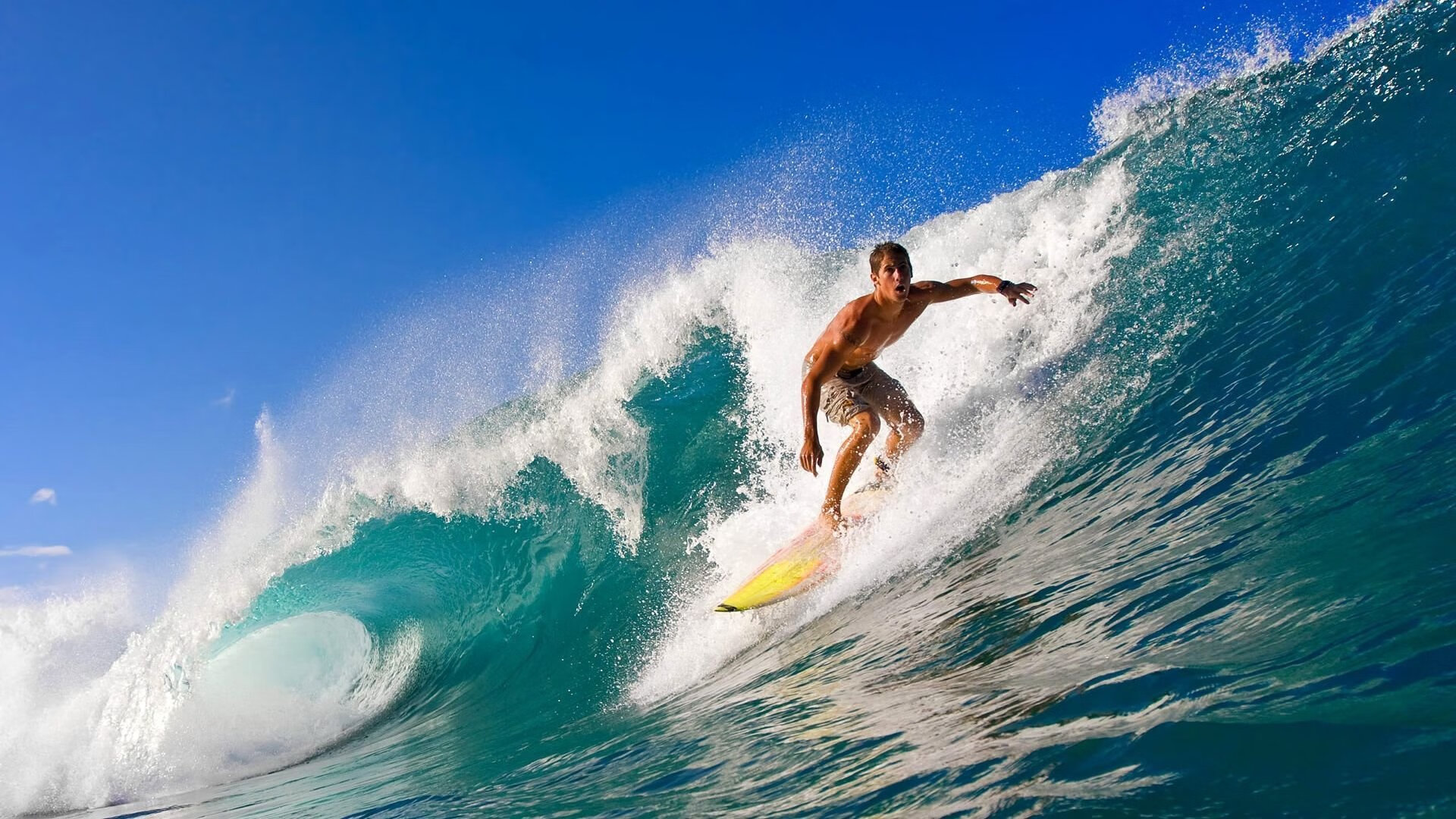 IM体育社区互动入口-2026世界杯焦点战前瞻,波斯铁骑与红黑军团的技术流血拼